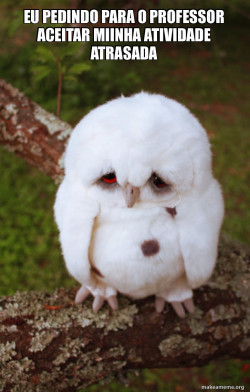 Sad Owl