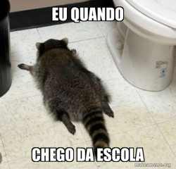 Drunk Raccoon