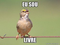Common Opinion Sparrow