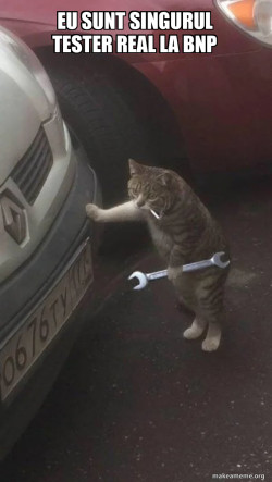 Mechanic Cat