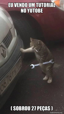Mechanic Cat