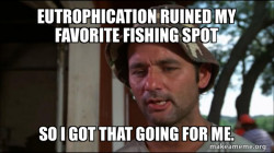 Bill Murry Caddyshack (So I got that going for me)