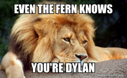 Confession Lion