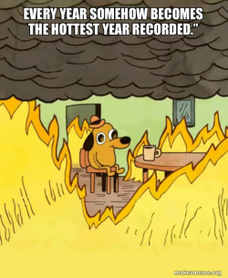This Is Fine