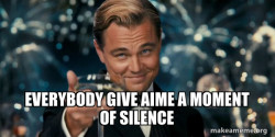 Great Gatsby Reaction - Leonardo DiCaprio Toast