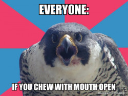 Millennial Falcon