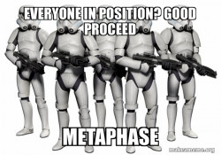 Storm Troopers