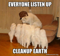 Scumbag Storytelling Dog