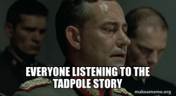 Tadpoles