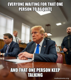 Trump Court Room
