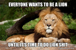 Contemplative Lion