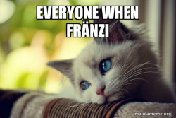 First World Cat Problems