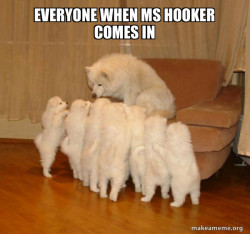 Storytelling Dog