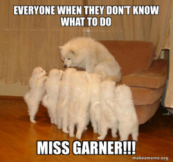 Storytelling Dog