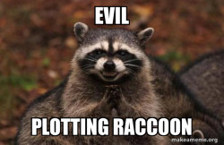 Evil Plotting Raccoon