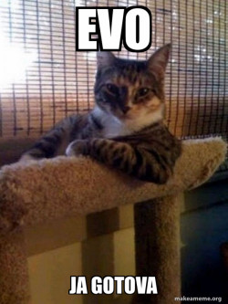 The Most Interesting Cat in the World