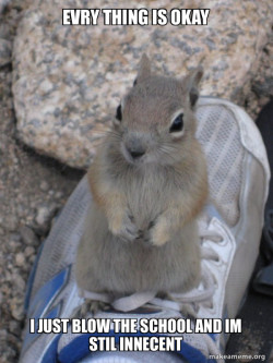 Standover Squirrel