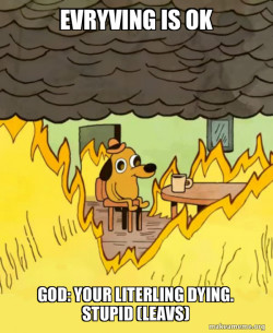 This Is Fine