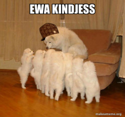 Scumbag Storytelling Dog