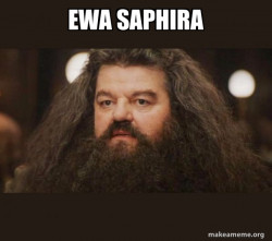 Hagrid - I should not have said that