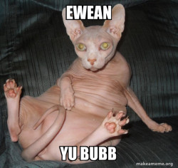 Hairless Cat