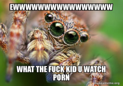  Spider dick
