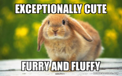 Sad Remorseful Rabbit