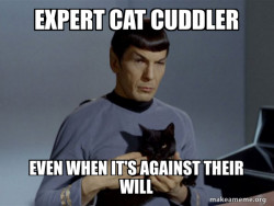 Spock and Cat Meme