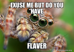 Hipster Spider