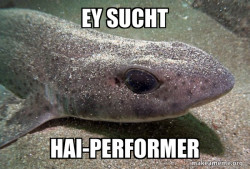 Dirty Joke Dogfish