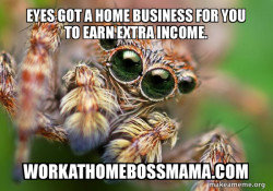 Hipster Spider