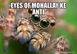 Hipster Spider