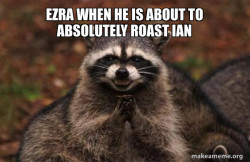 Evil Plotting Raccoon