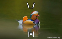 Fashionable Advice Mallard
