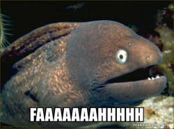 Bad Joke Eel