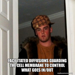 Scumbag Steve