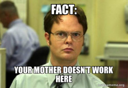 Schrute Facts (Dwight Schrute from The Office)
