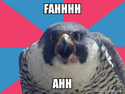 Millennial Falcon