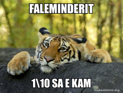 Confession Tiger 