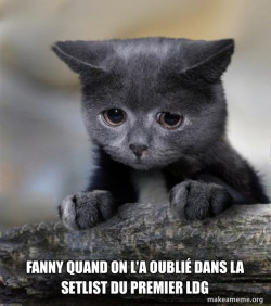 Confession Cat