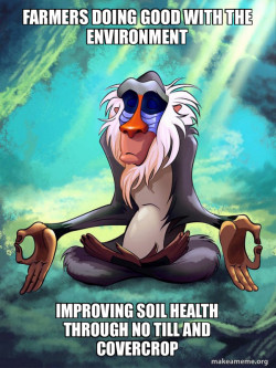 Rafiki Meditating - Lion King