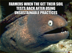 soil meme
