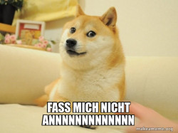 Doge