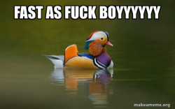 Fashionable Advice Mallard