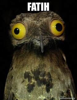 Weird Stuff I do Potoo