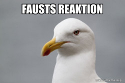 Stuff That Didn't Happen Seagull