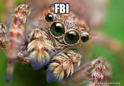Hipster Spider