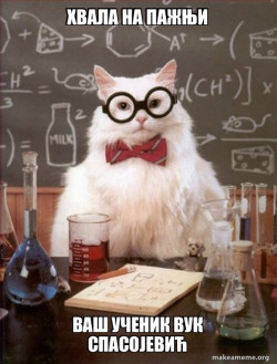Chemistry Cat