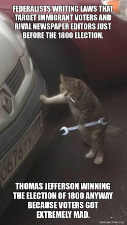 Mechanic Cat