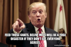 Donald Trump Says